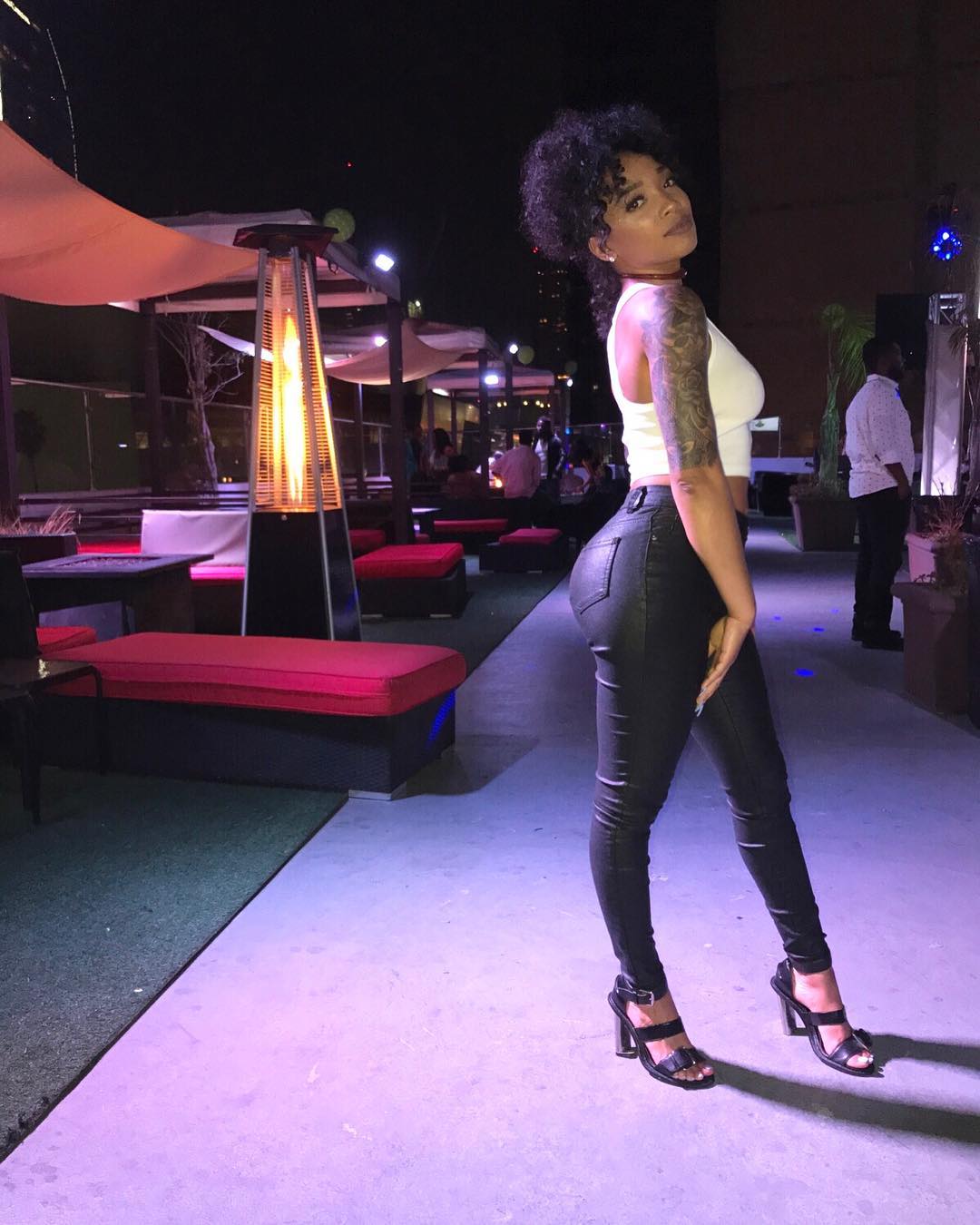 DynastySeries.com