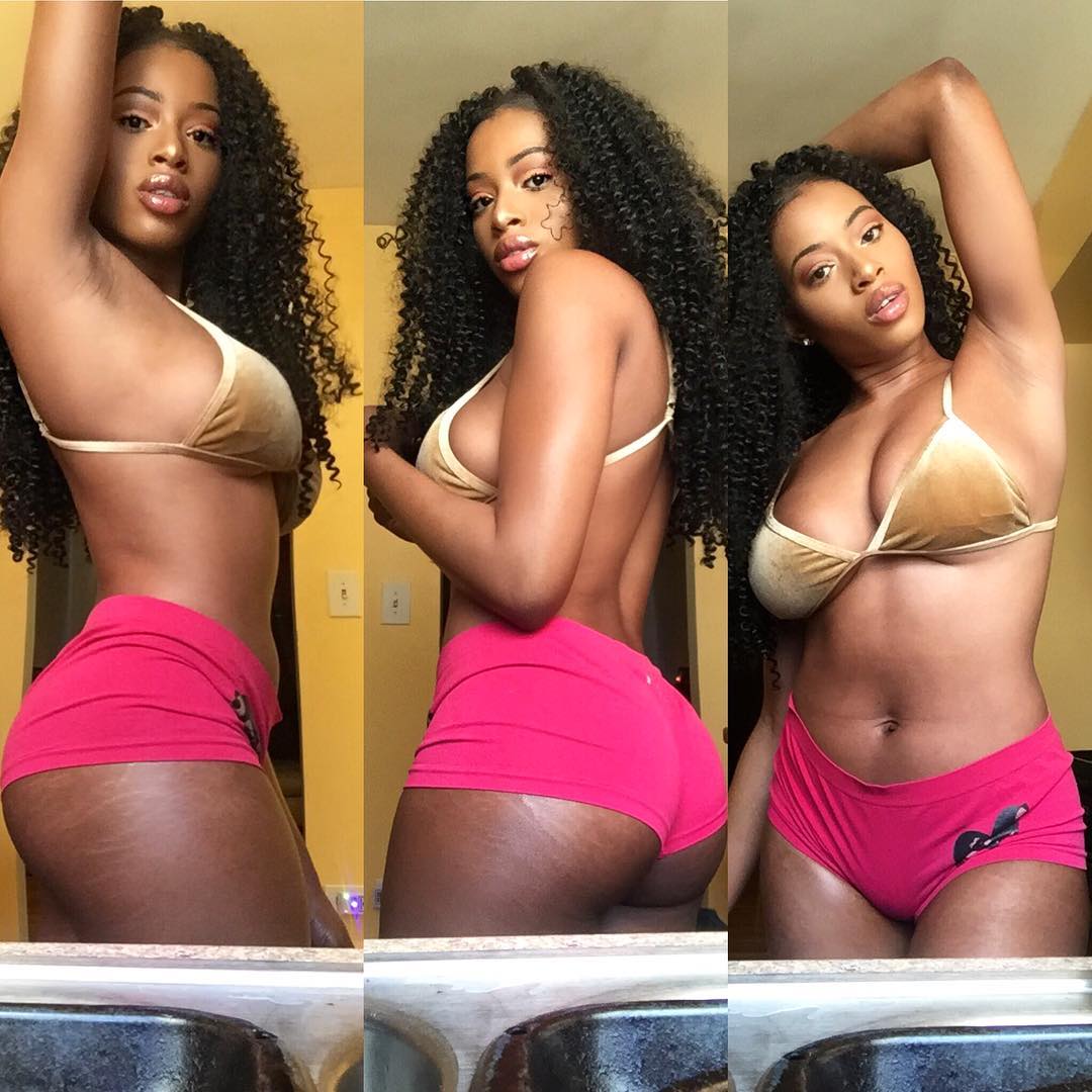 DynastySeries.com