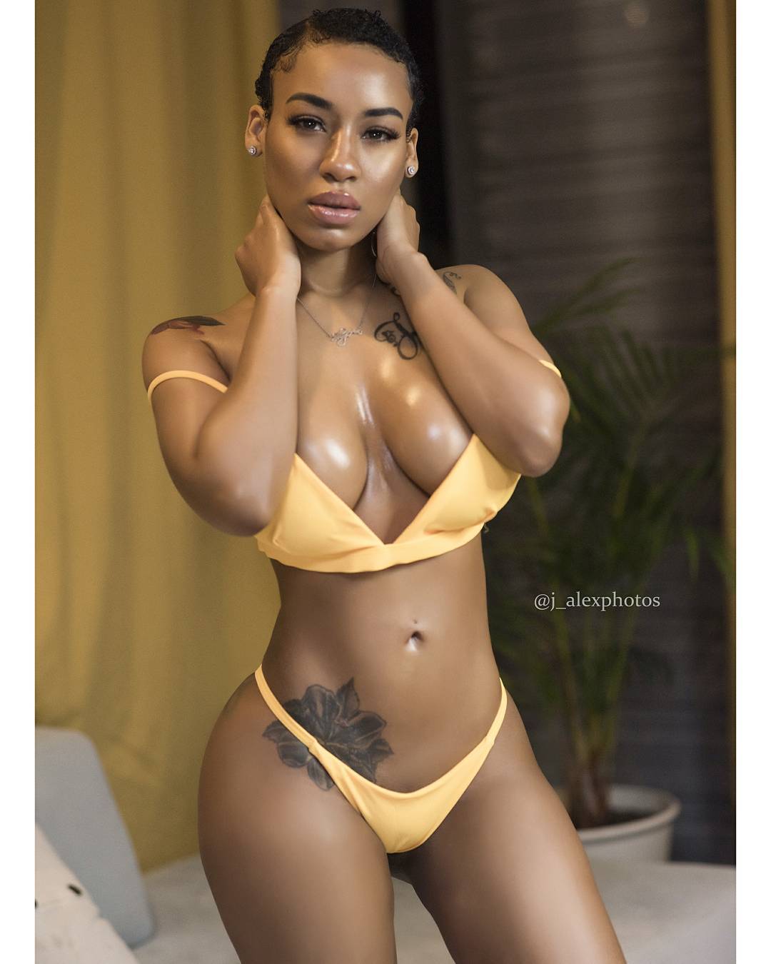 DynastySeries.com