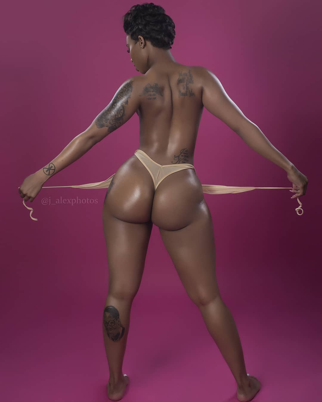 DynastySeries.com