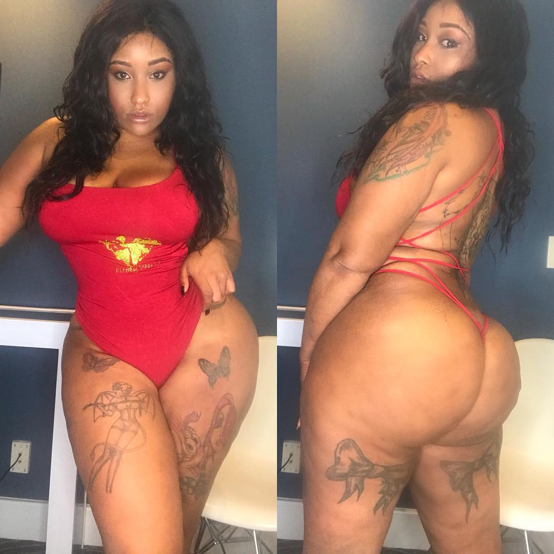 DynastySeries.com