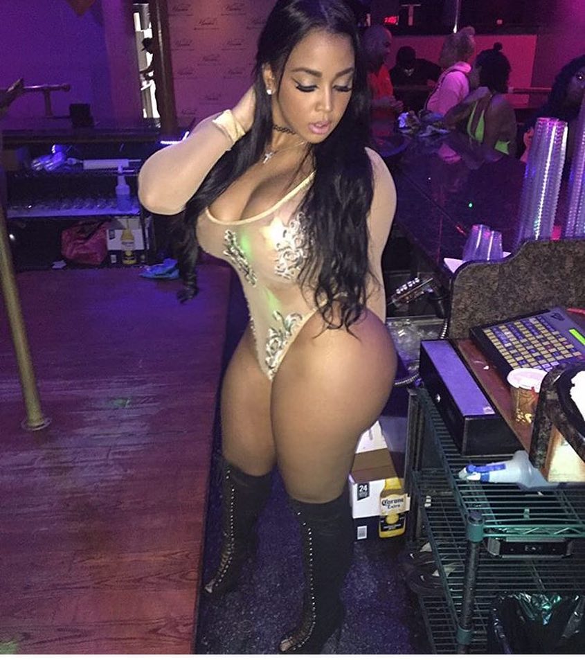 DynastySeries.com