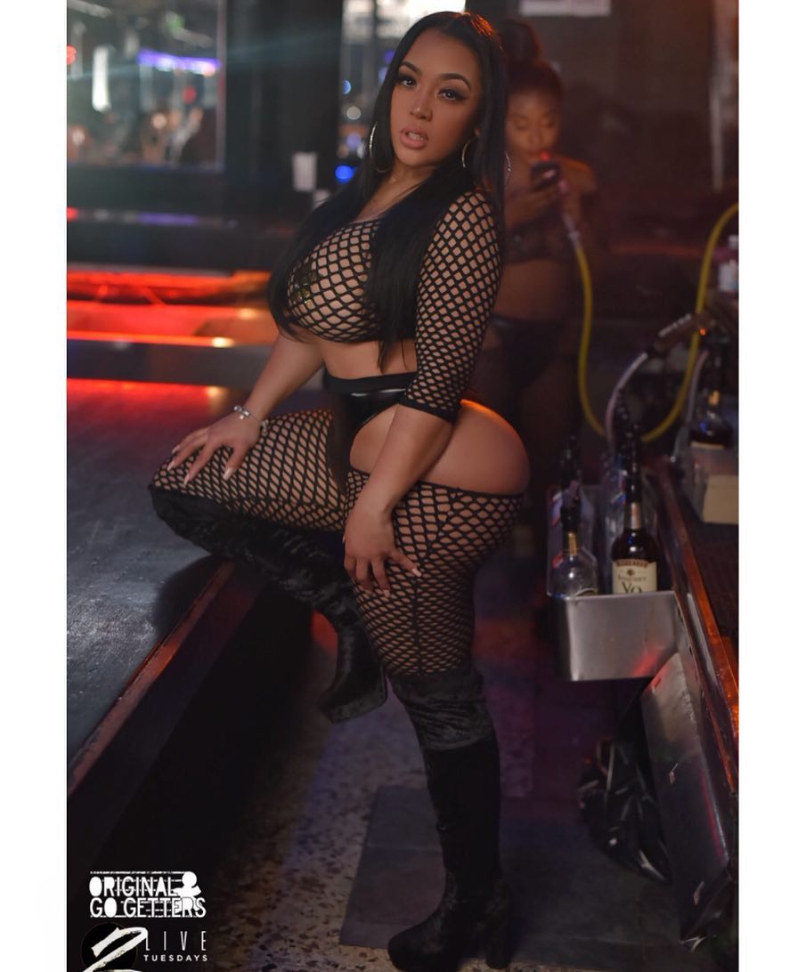 DynastySeries.com