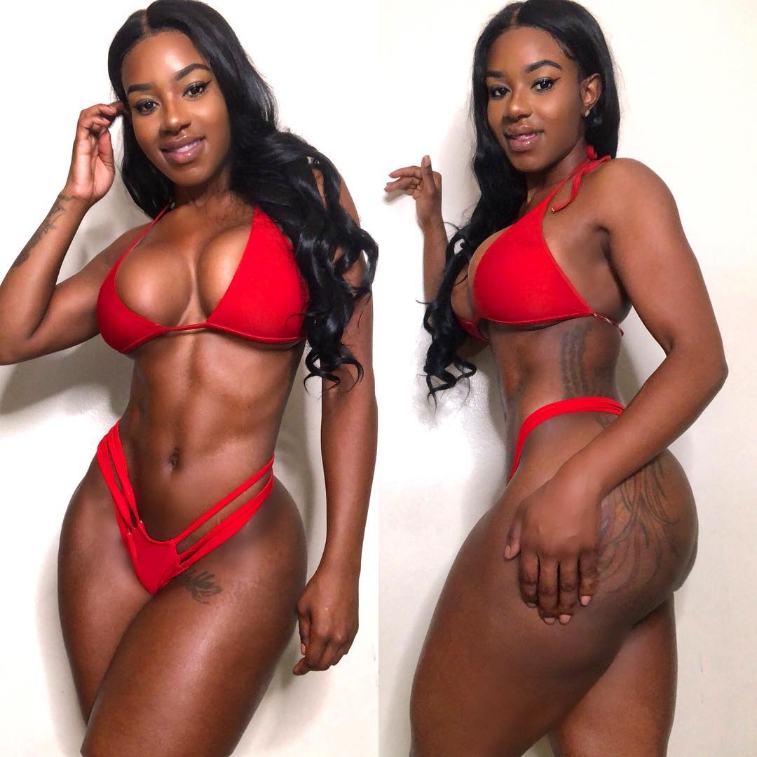 DynastySeries.com