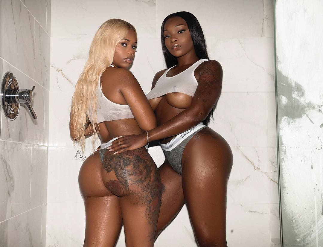 DynastySeries.com