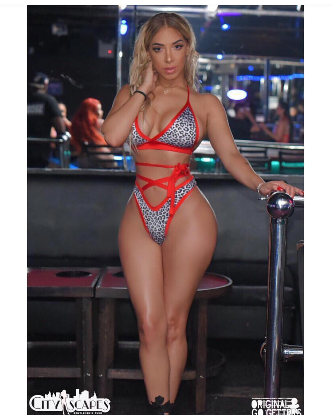 DynastySeries.com