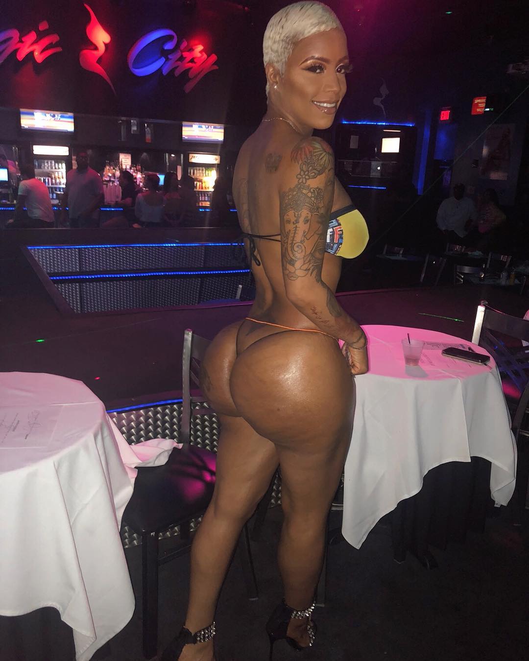 DynastySeries.com