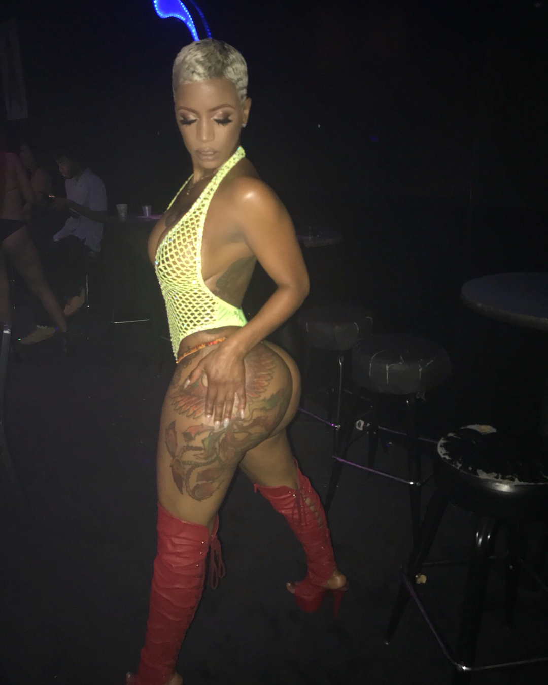 DynastySeries.com