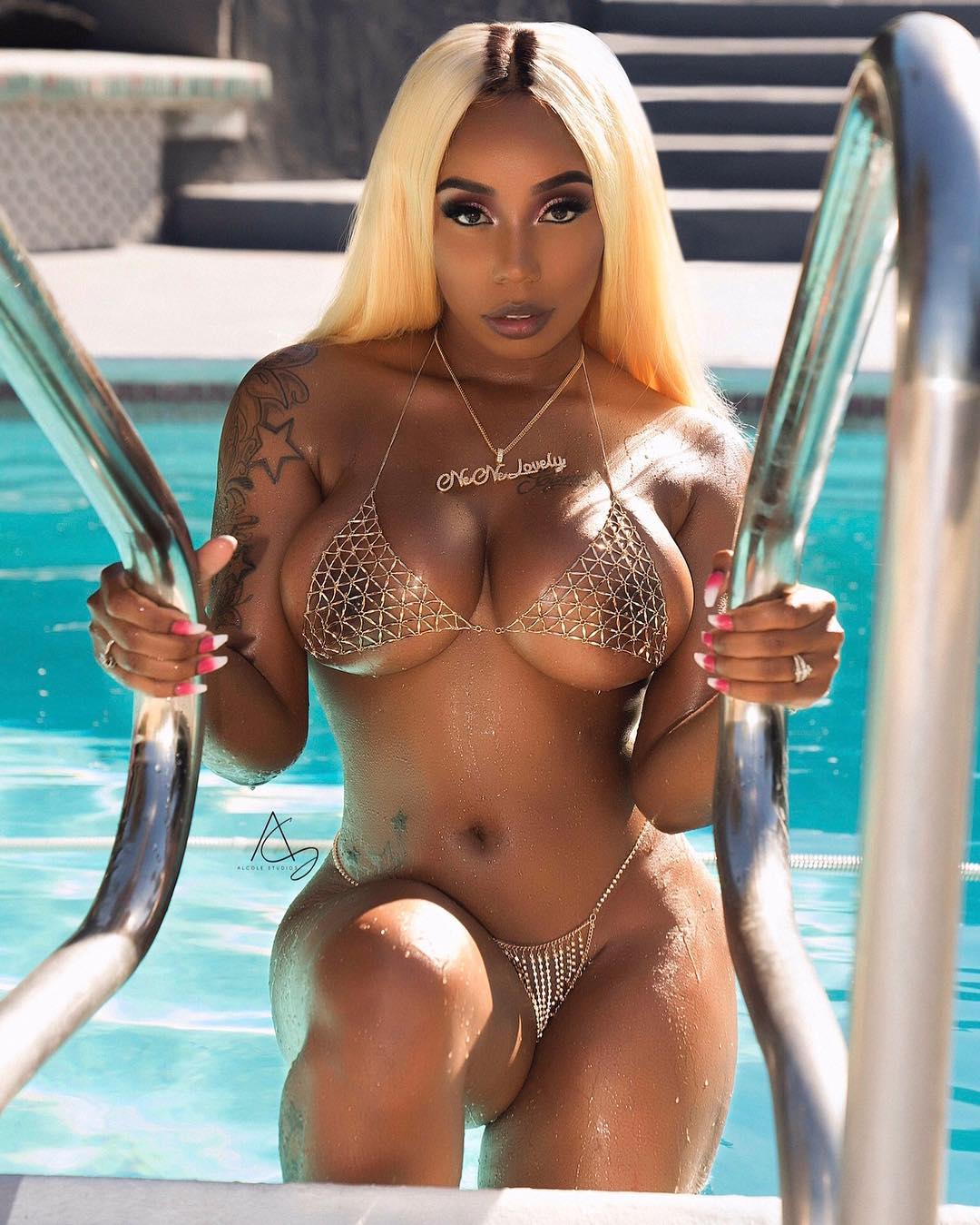 DynastySeries.com