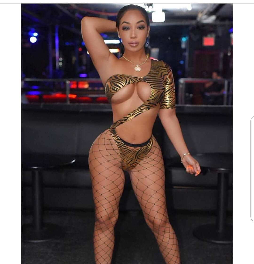 DynastySeries.com