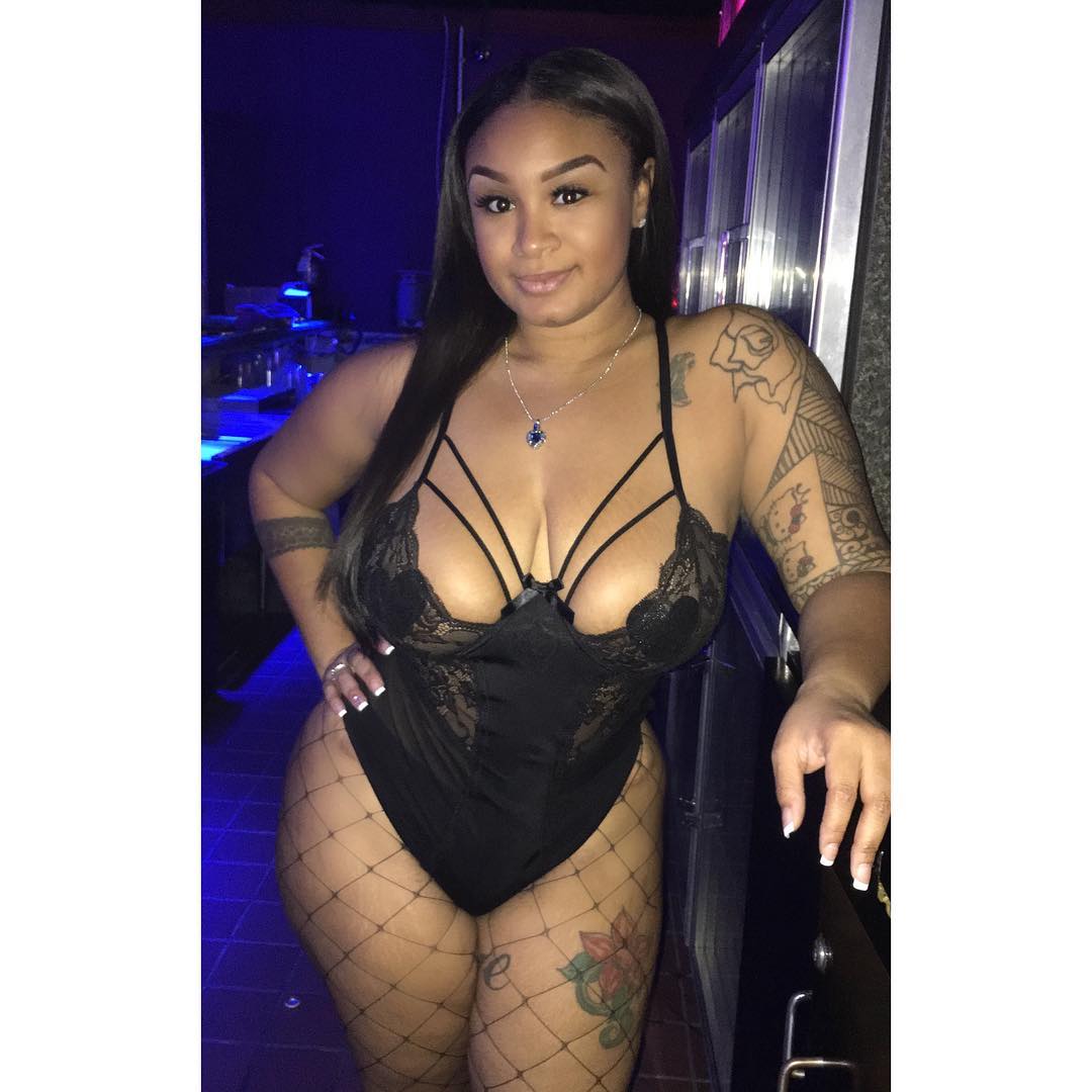 DynastySeries.com