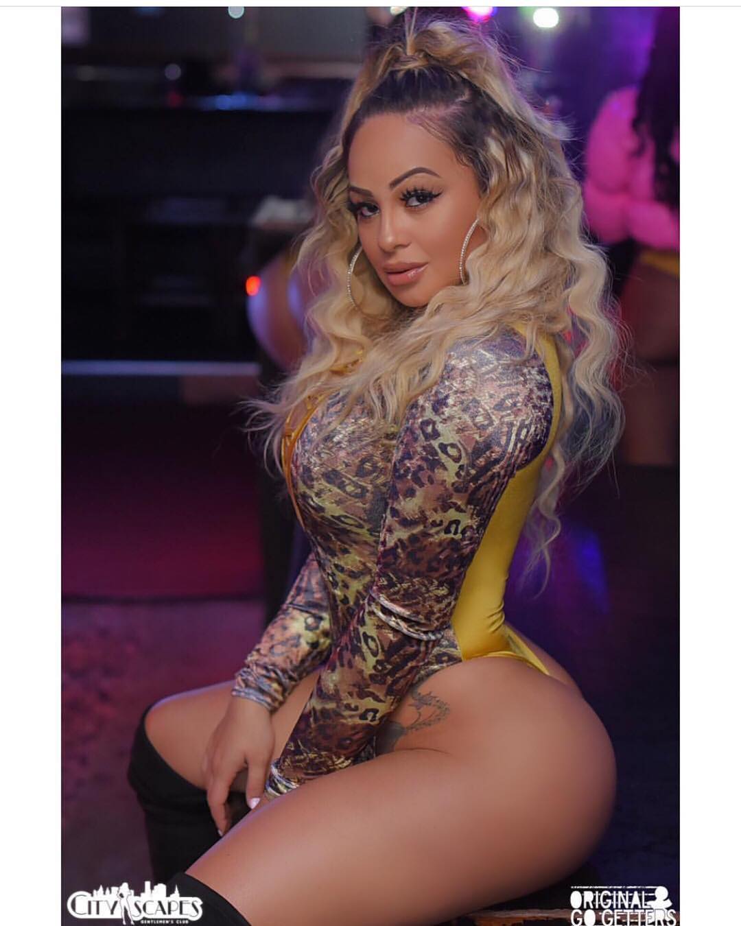 DynastySeries.com