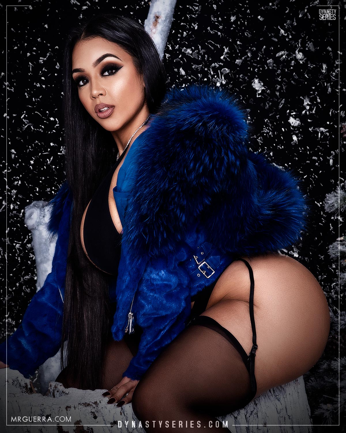 DynastySeries.com