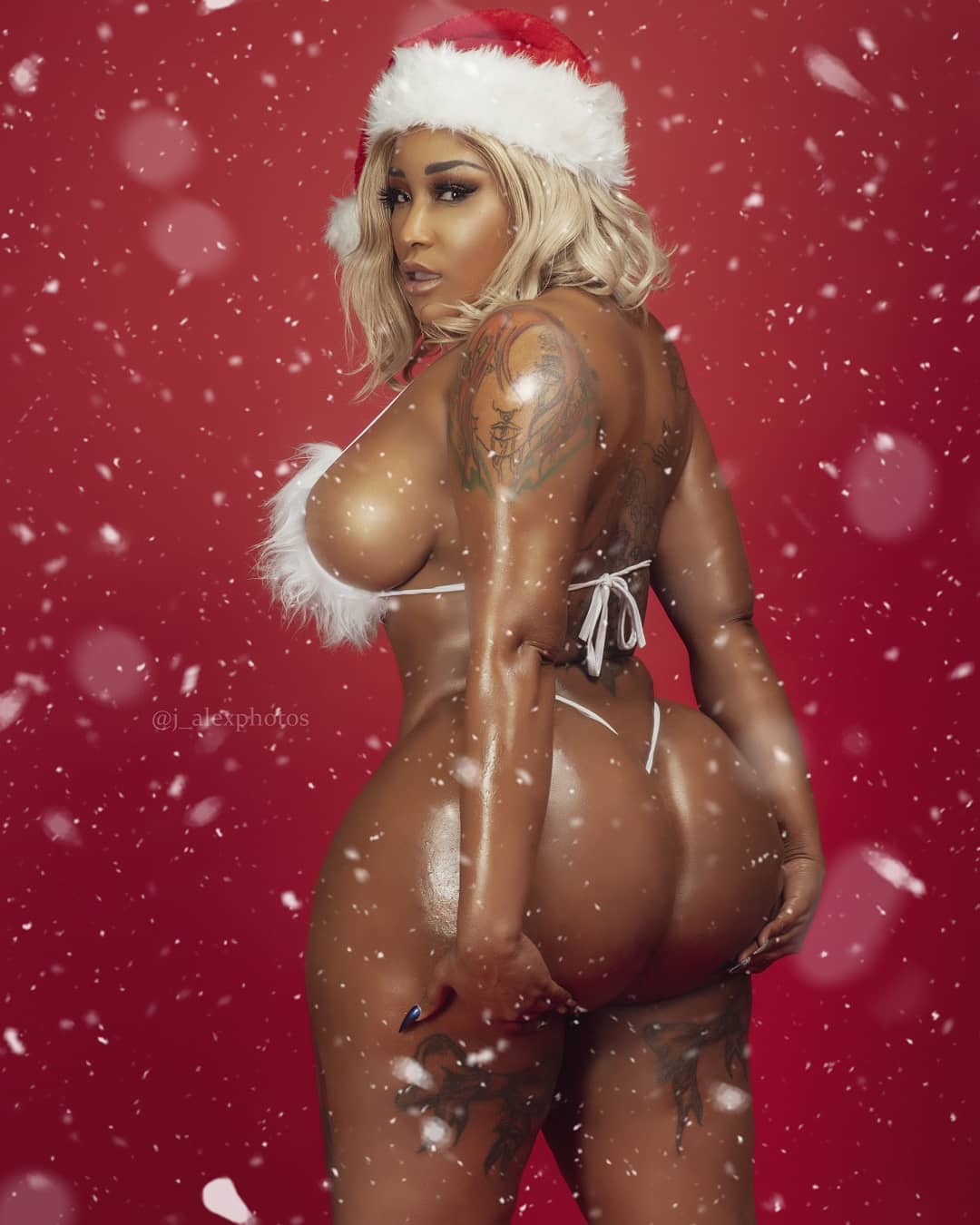 DynastySeries.com