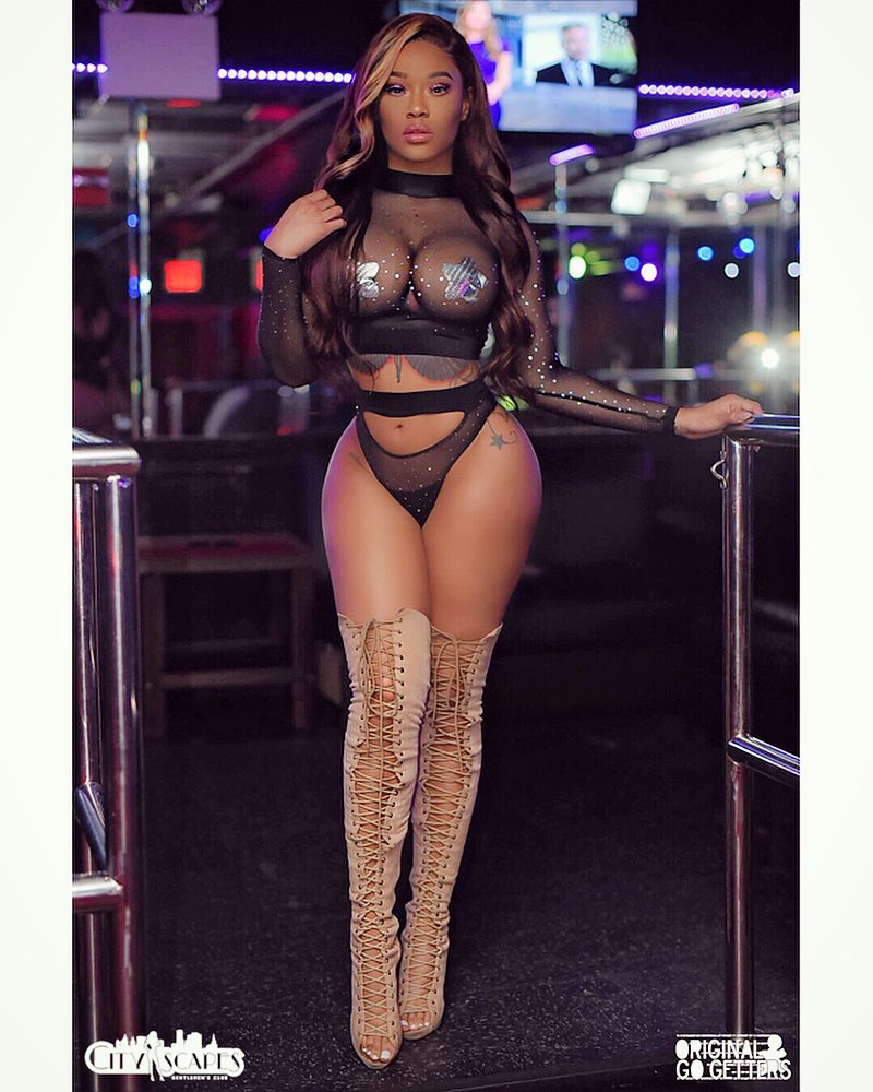 DynastySeries.com