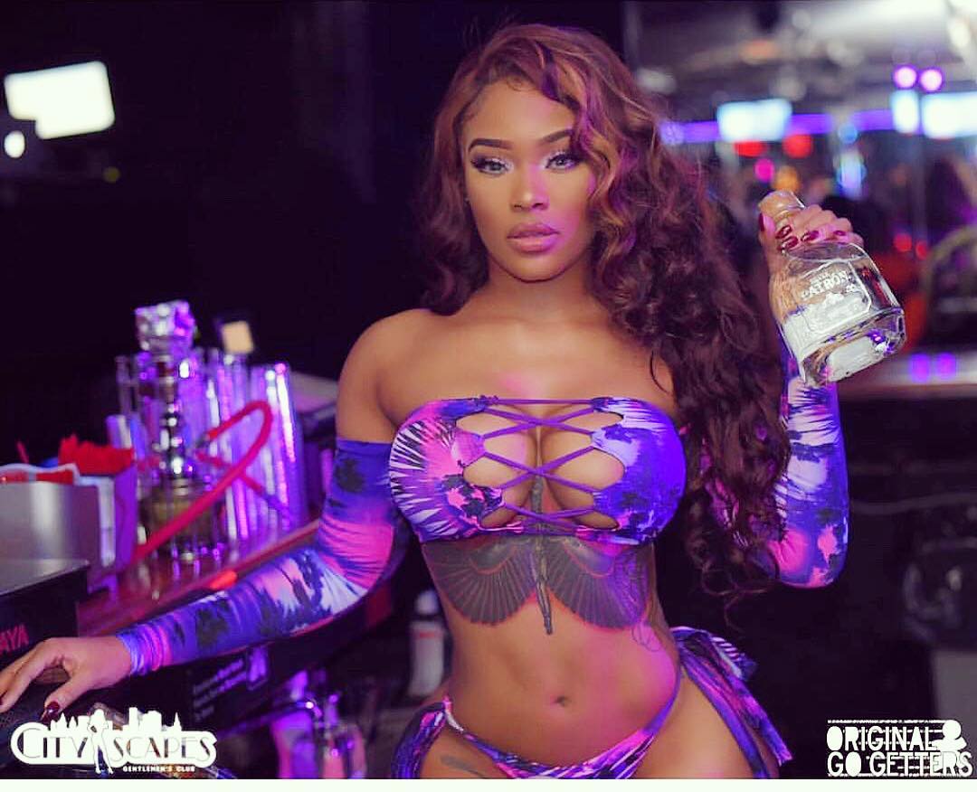 DynastySeries.com