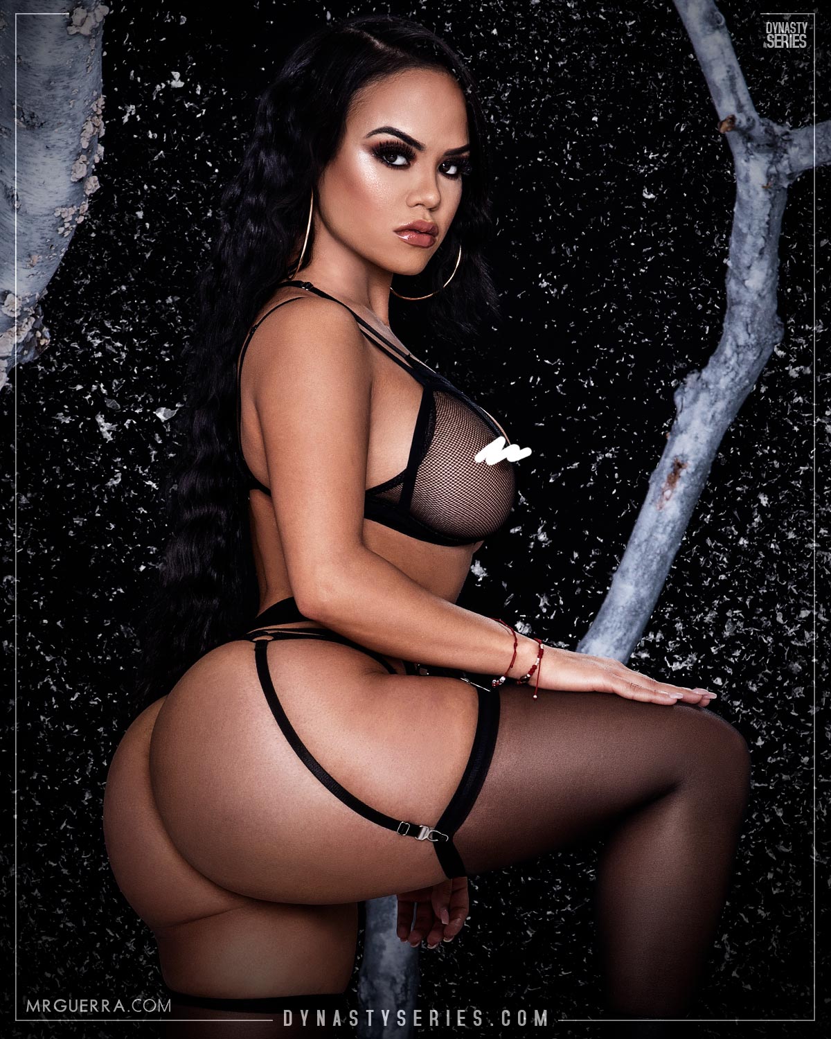 DynastySeries.com