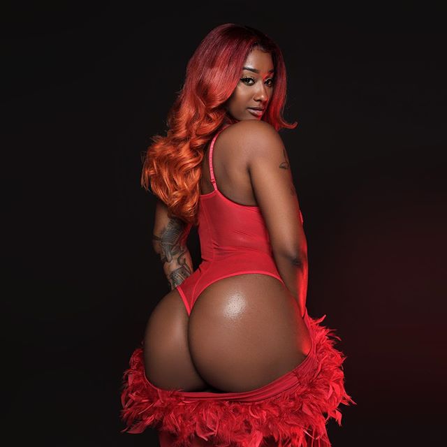 DynastySeries.com