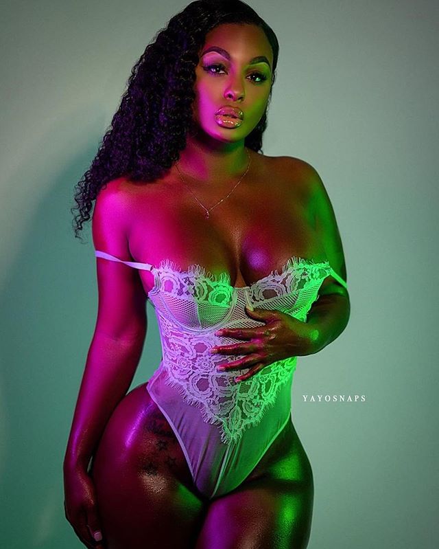 DynastySeries.com