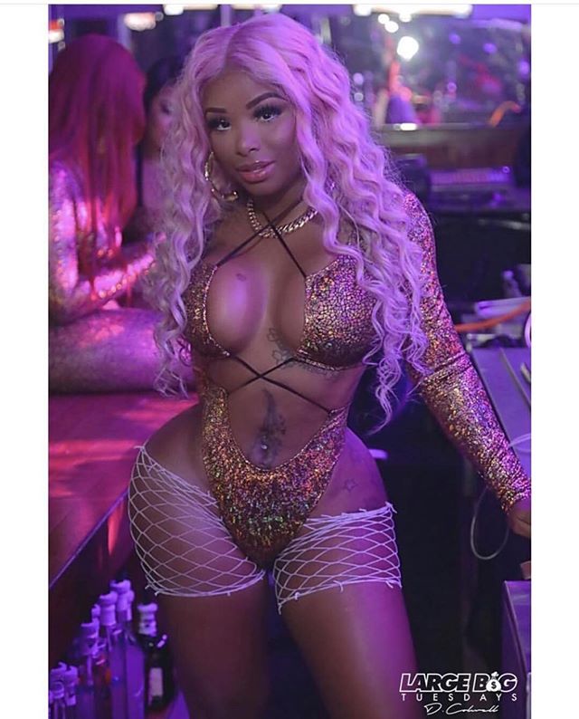 DynastySeries.com