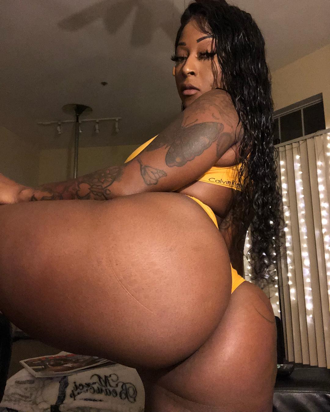 DynastySeries.com