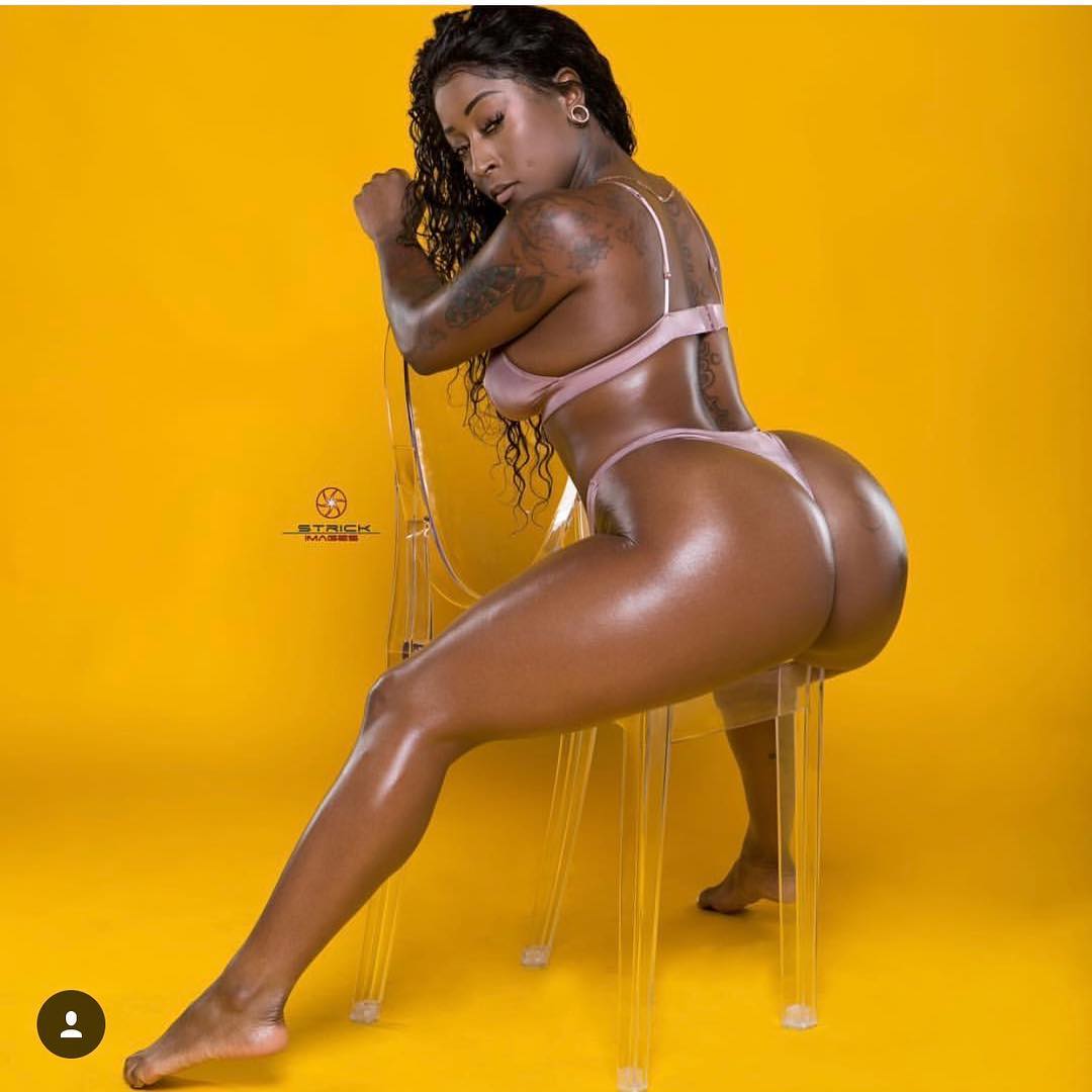 DynastySeries.com