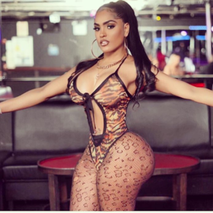 DynastySeries.com