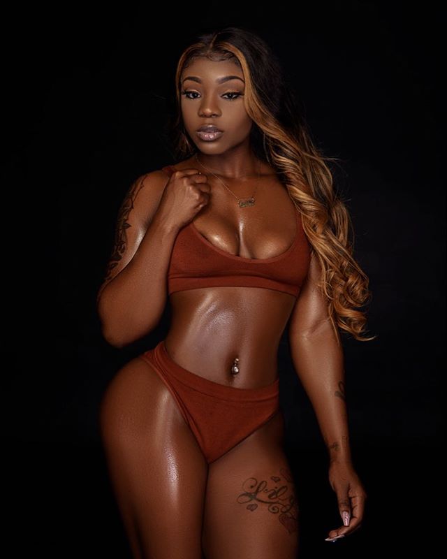 DynastySeries.com