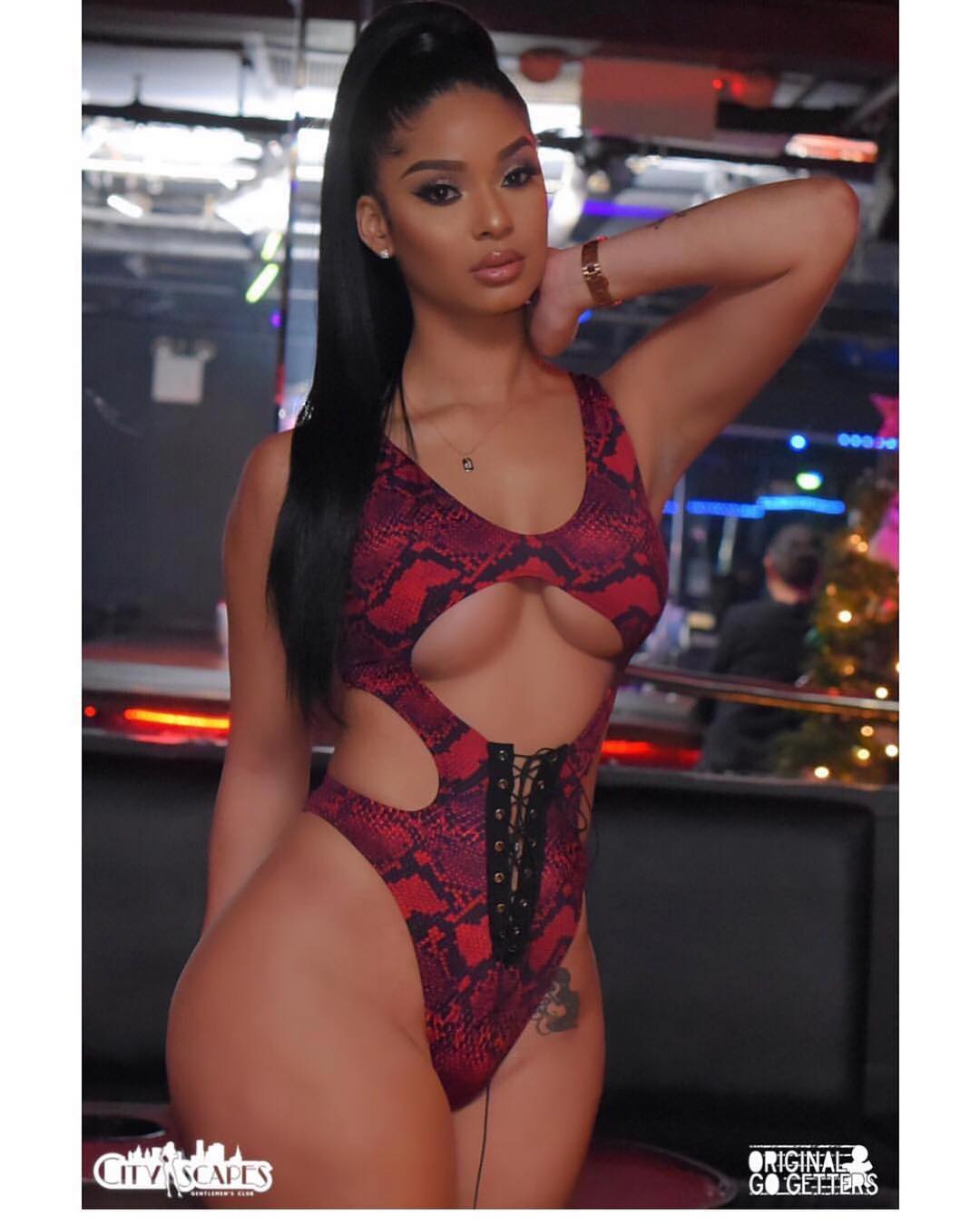 DynastySeries.com