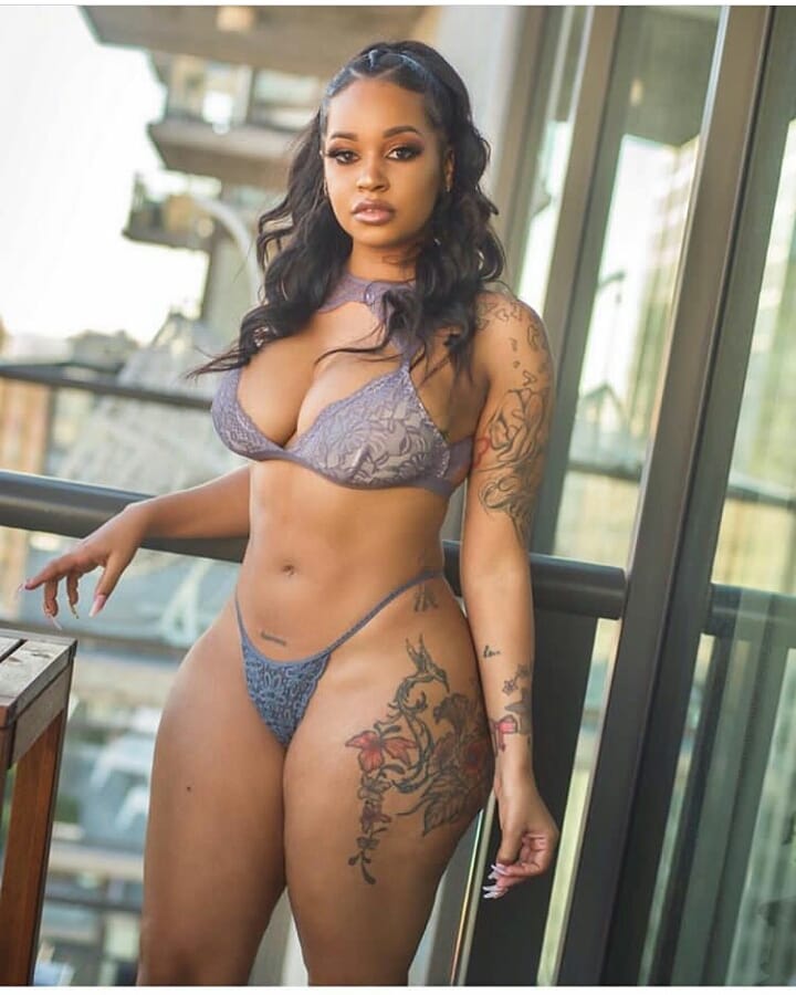 DynastySeries.com