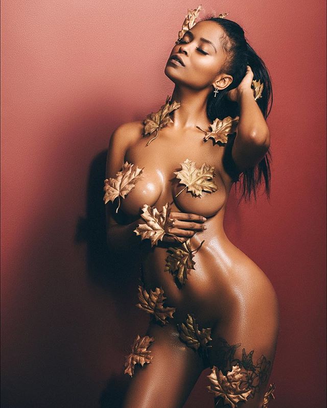 DynastySeries.com