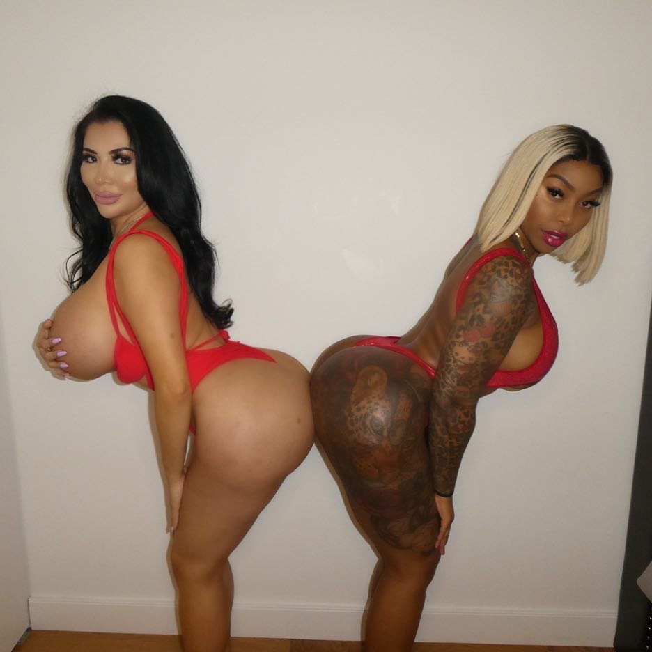 DynastySeries.com