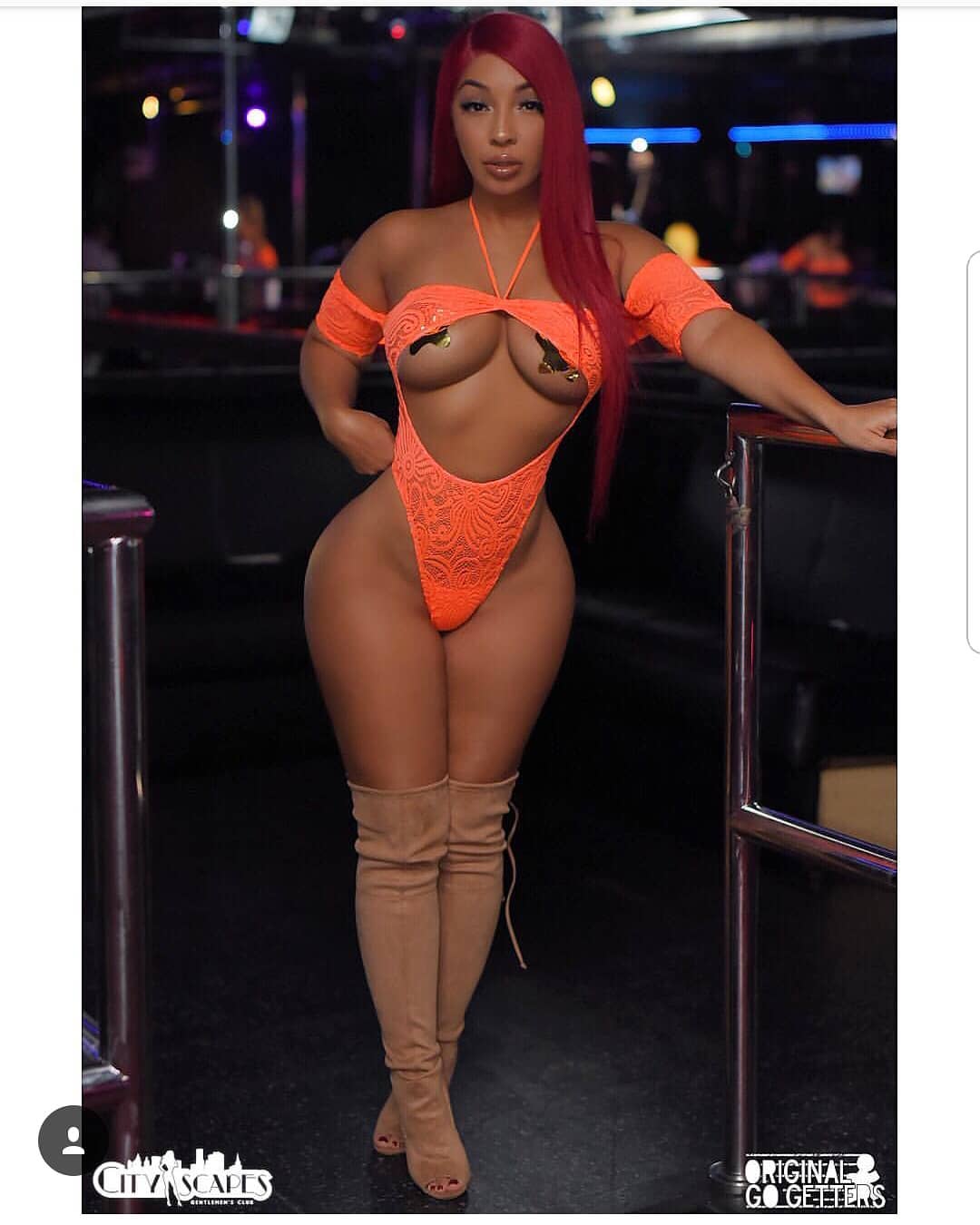 DynastySeries.com