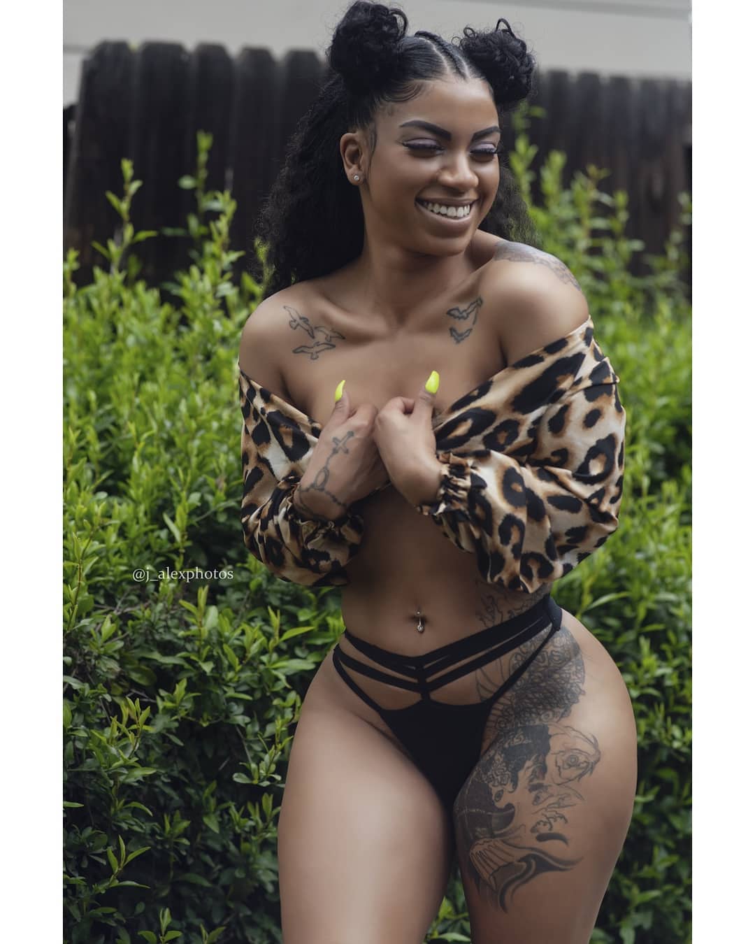 DynastySeries.com