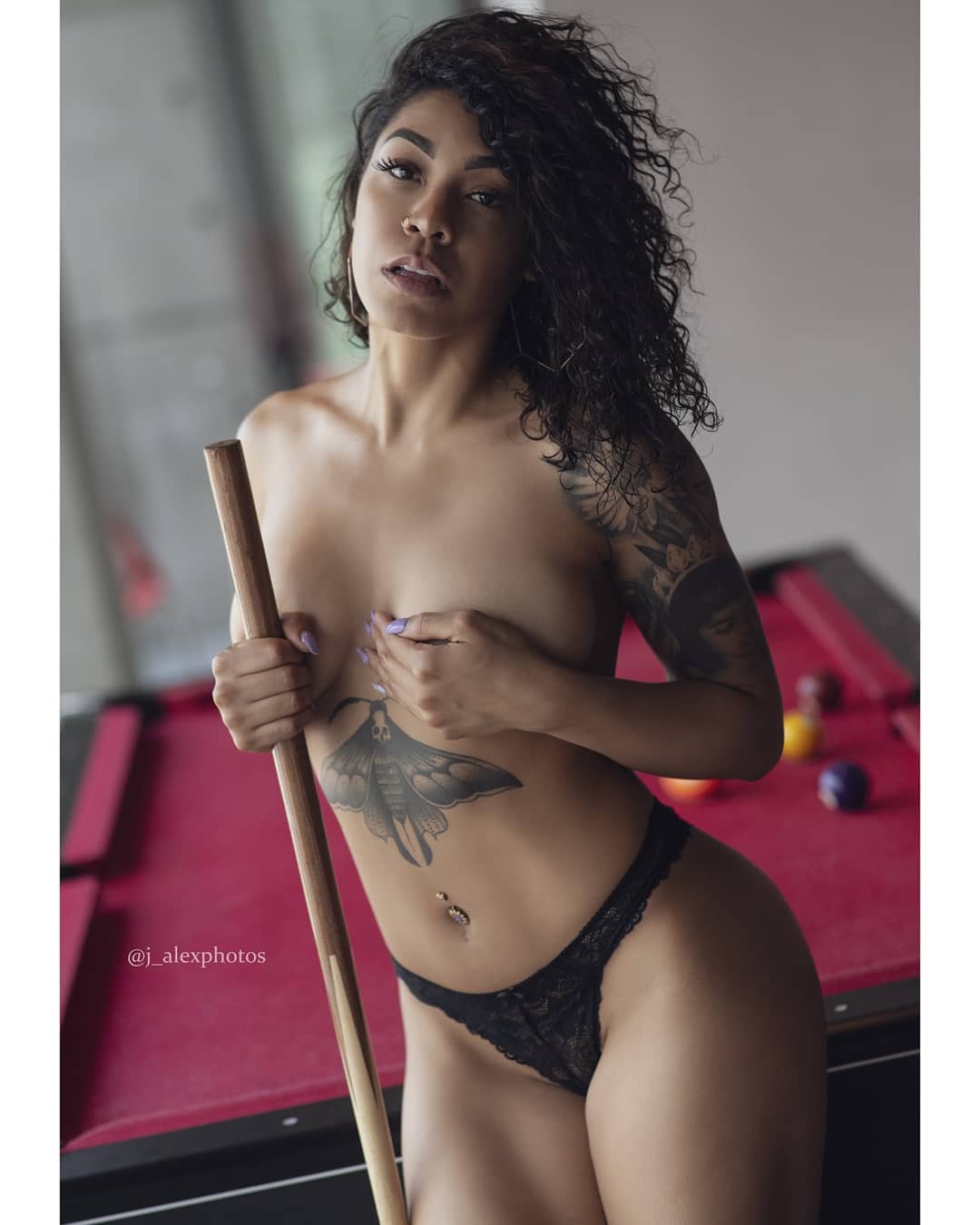 DynastySeries.com