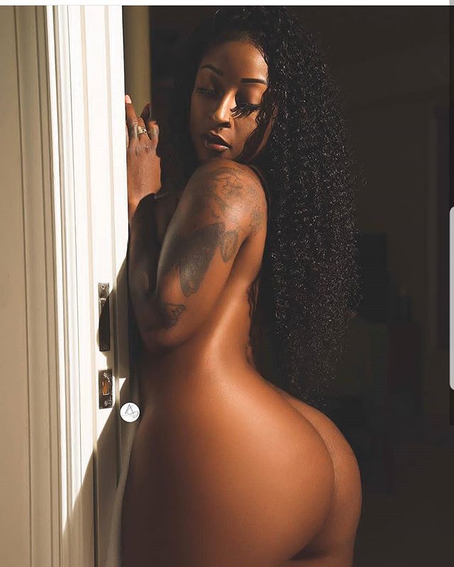 DynastySeries.com