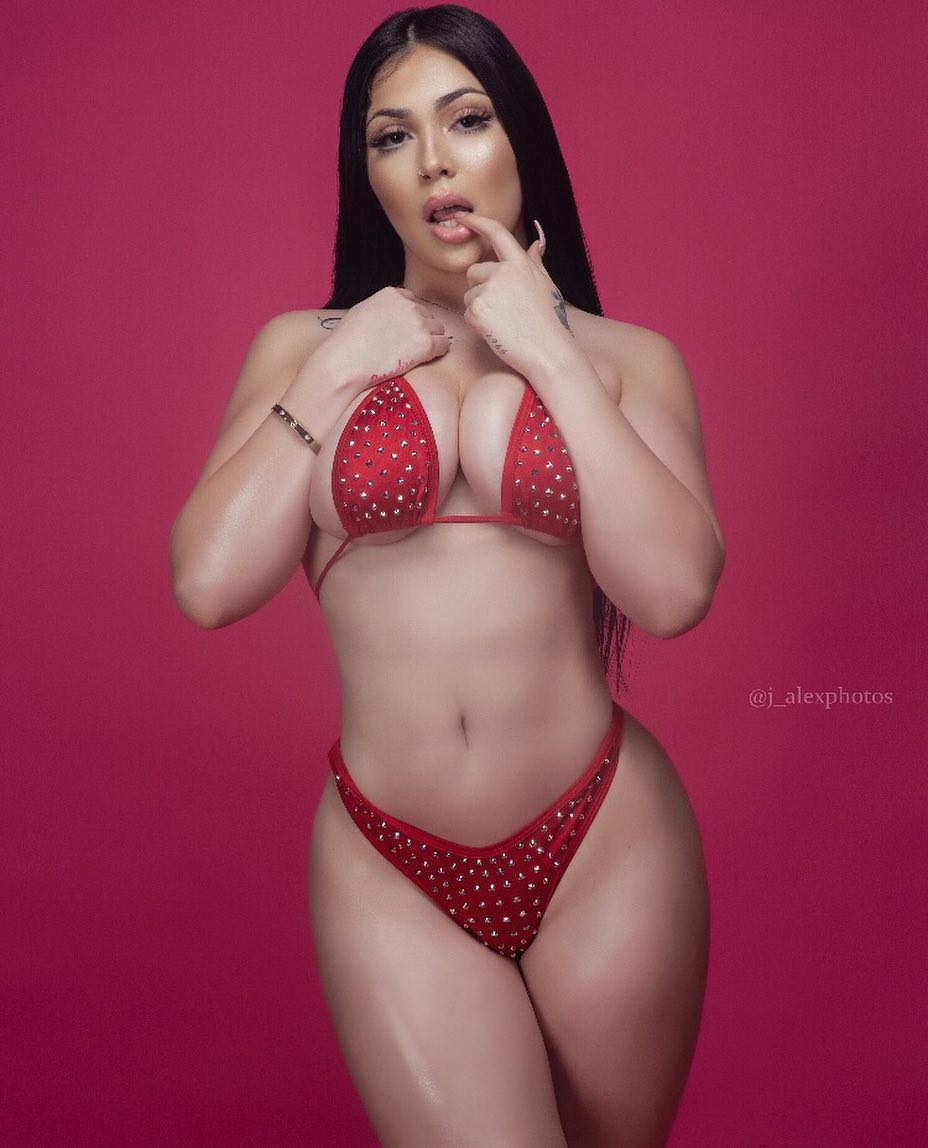 DynastySeries.com