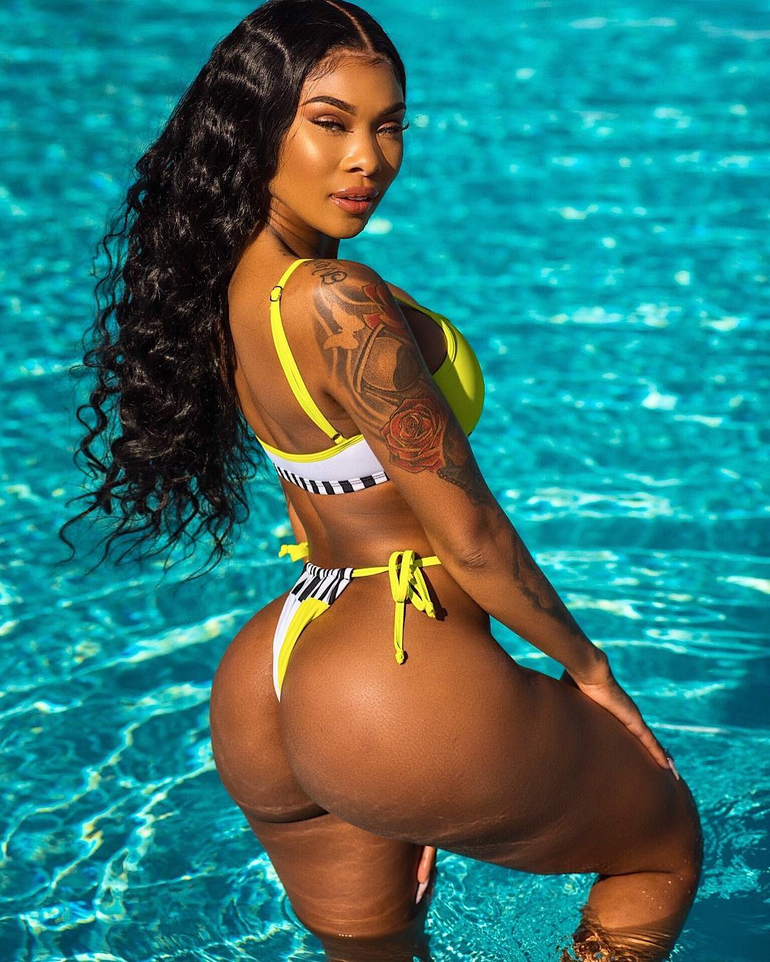 DynastySeries.com