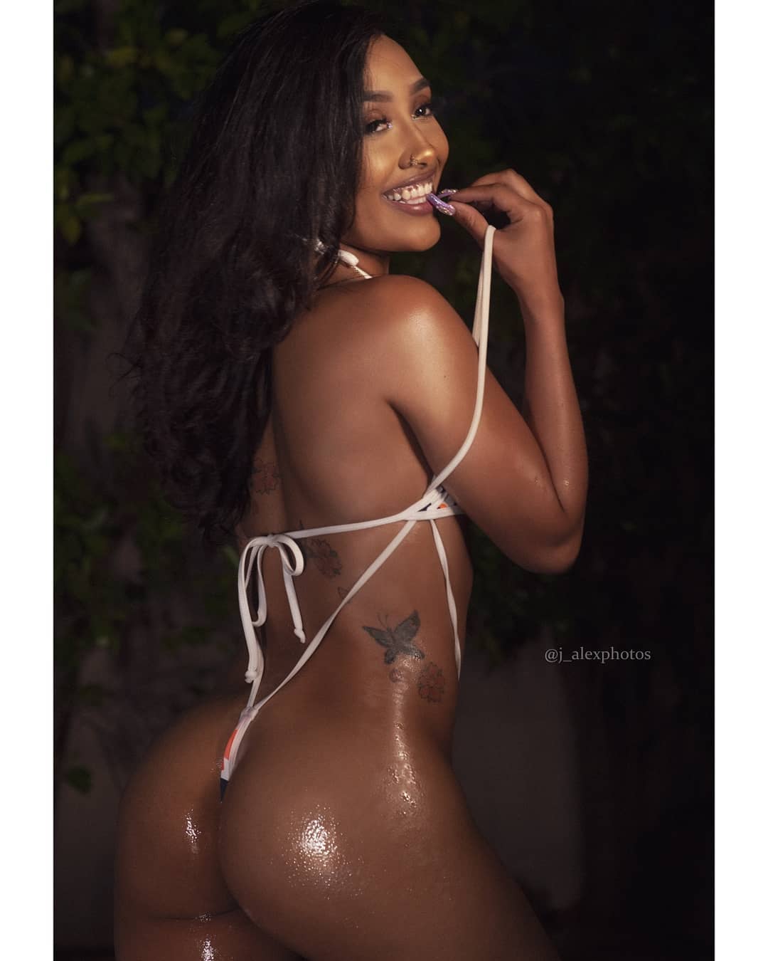 DynastySeries.com