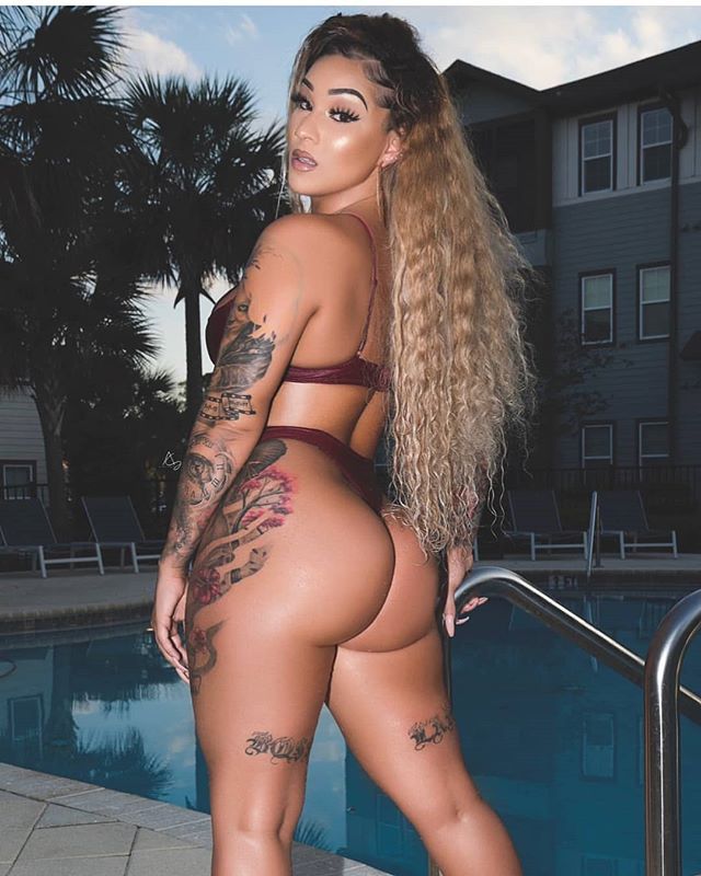 DynastySeries.com