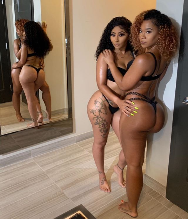 DynastySeries.com