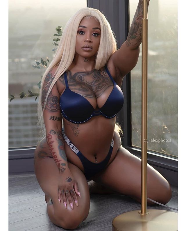 DynastySeries.com