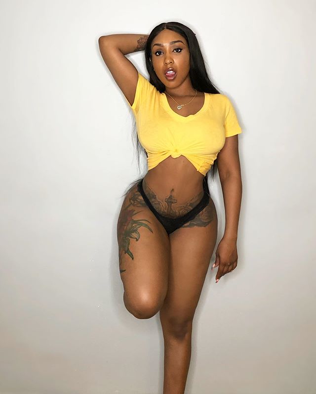 DynastySeries.com