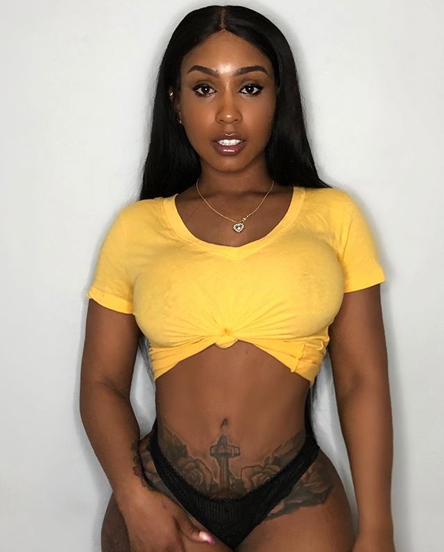 DynastySeries.com