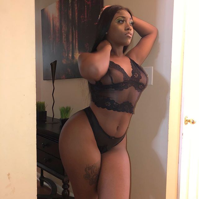 DynastySeries.com