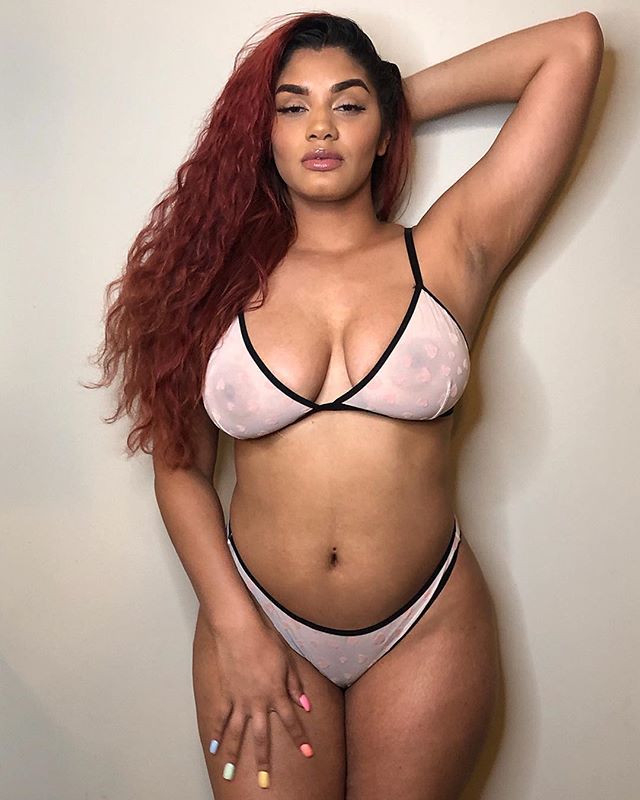 DynastySeries.com