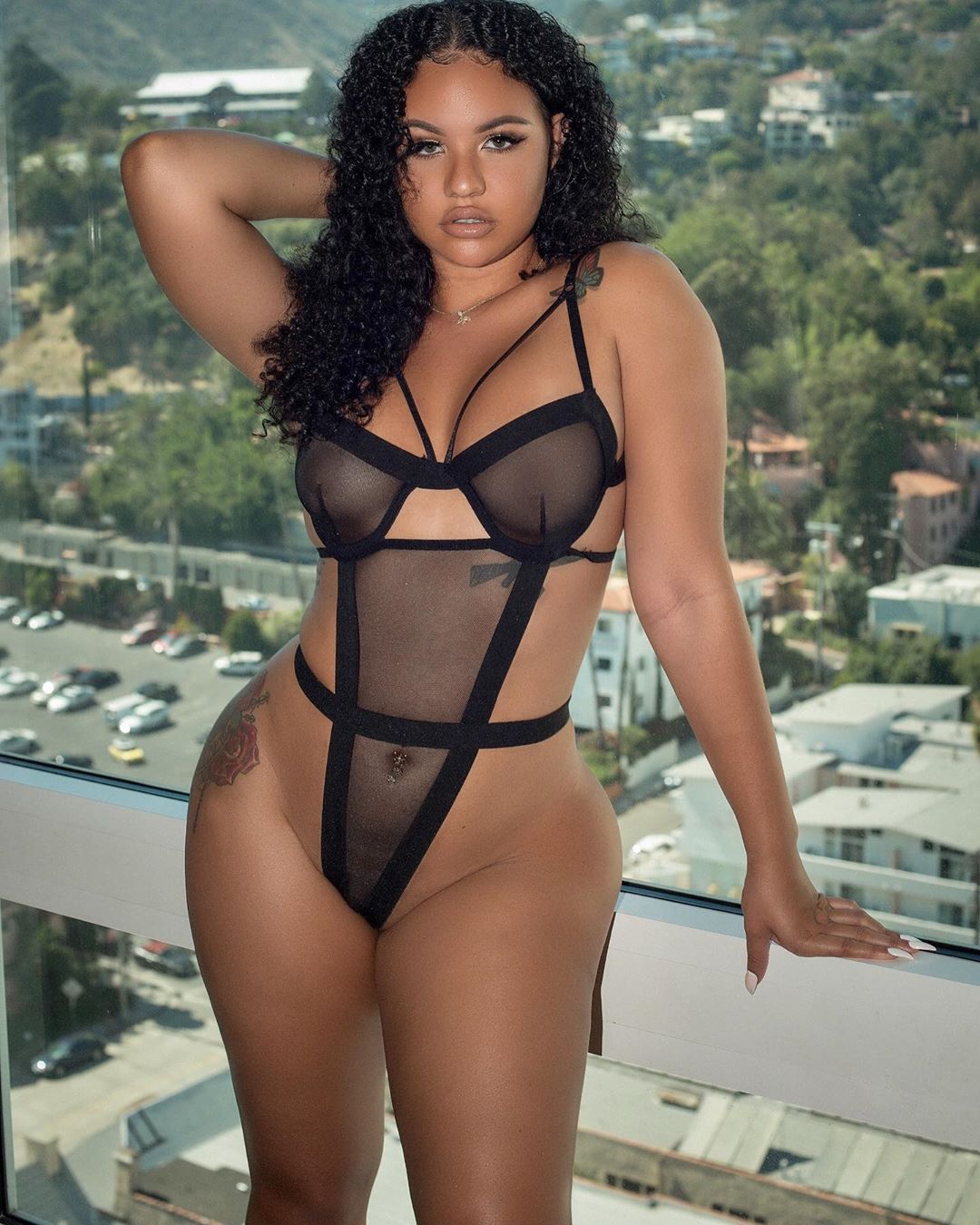 DynastySeries.com