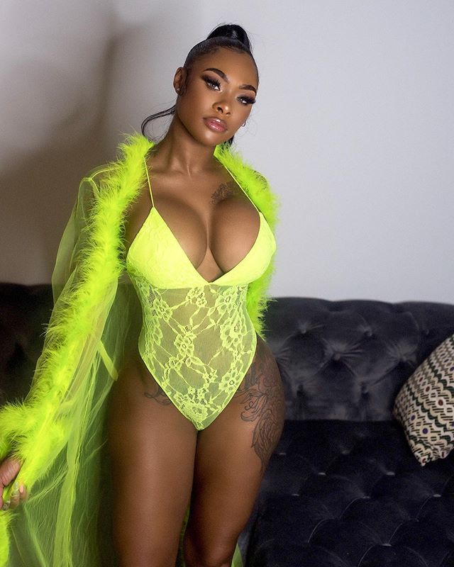 DynastySeries.com