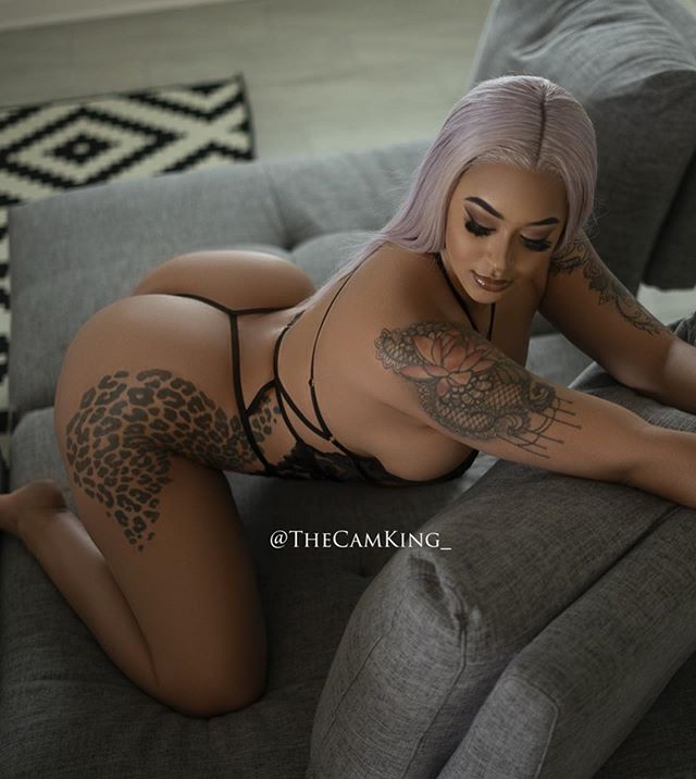 DynastySeries.com