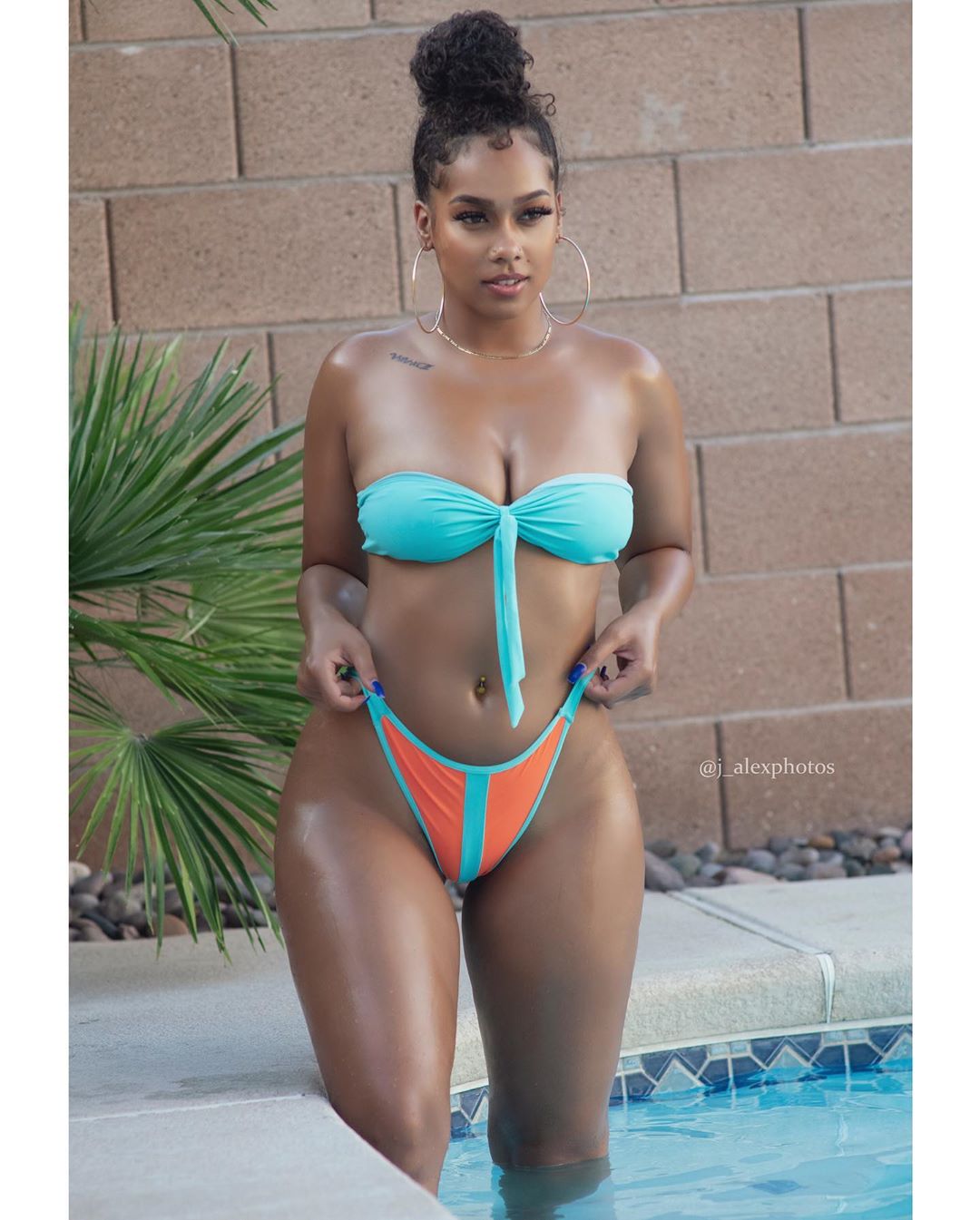 DynastySeries.com